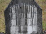 image of grave number 651779